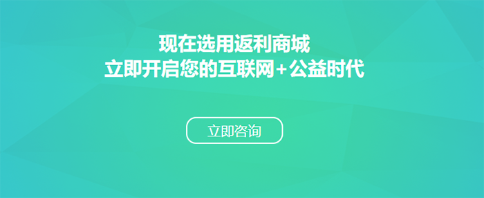 微商线上返利系统开发